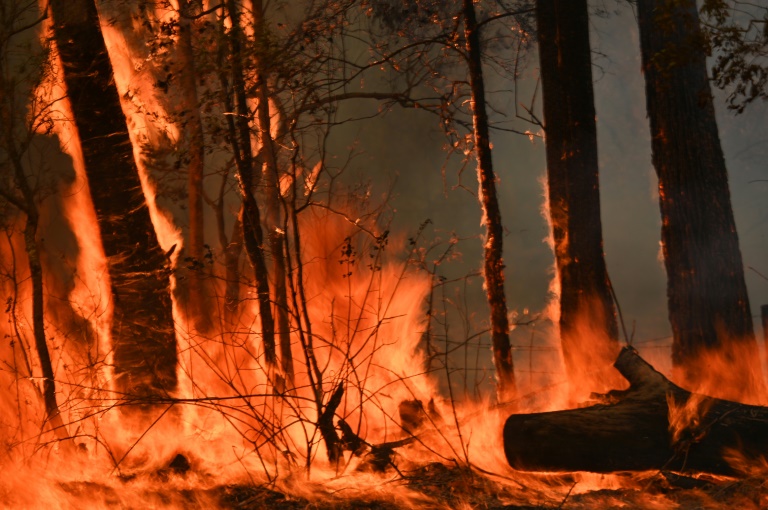 Rally de Australia se cancela debido a los incendios forestales en Nueva Gales del Sur