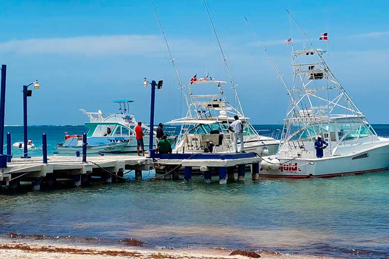 Todo listo para XXXI edición del torneo de pesca al Marlin Azul