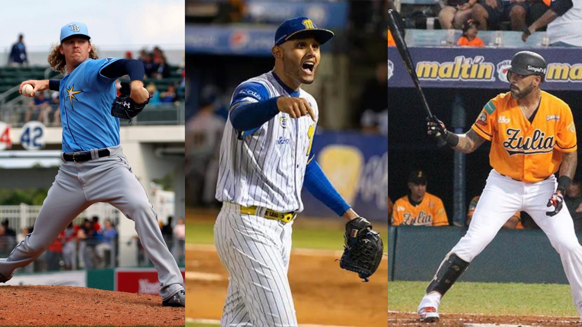 Conoce los nuevos refuerzos de Tigres del Licey para el RR