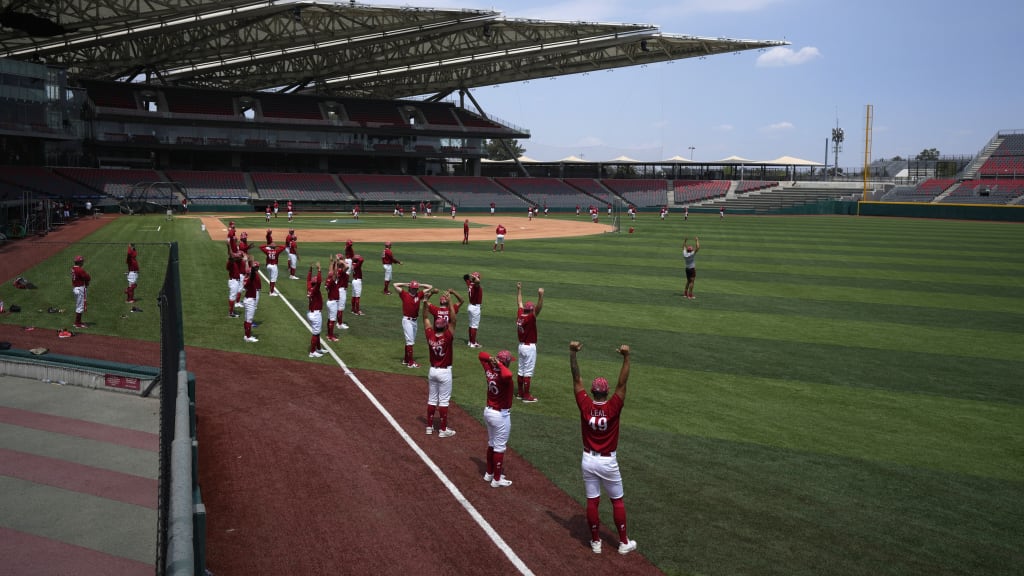 Mexicanos están felices por serie Yankees vs Diablos Rojos en México
