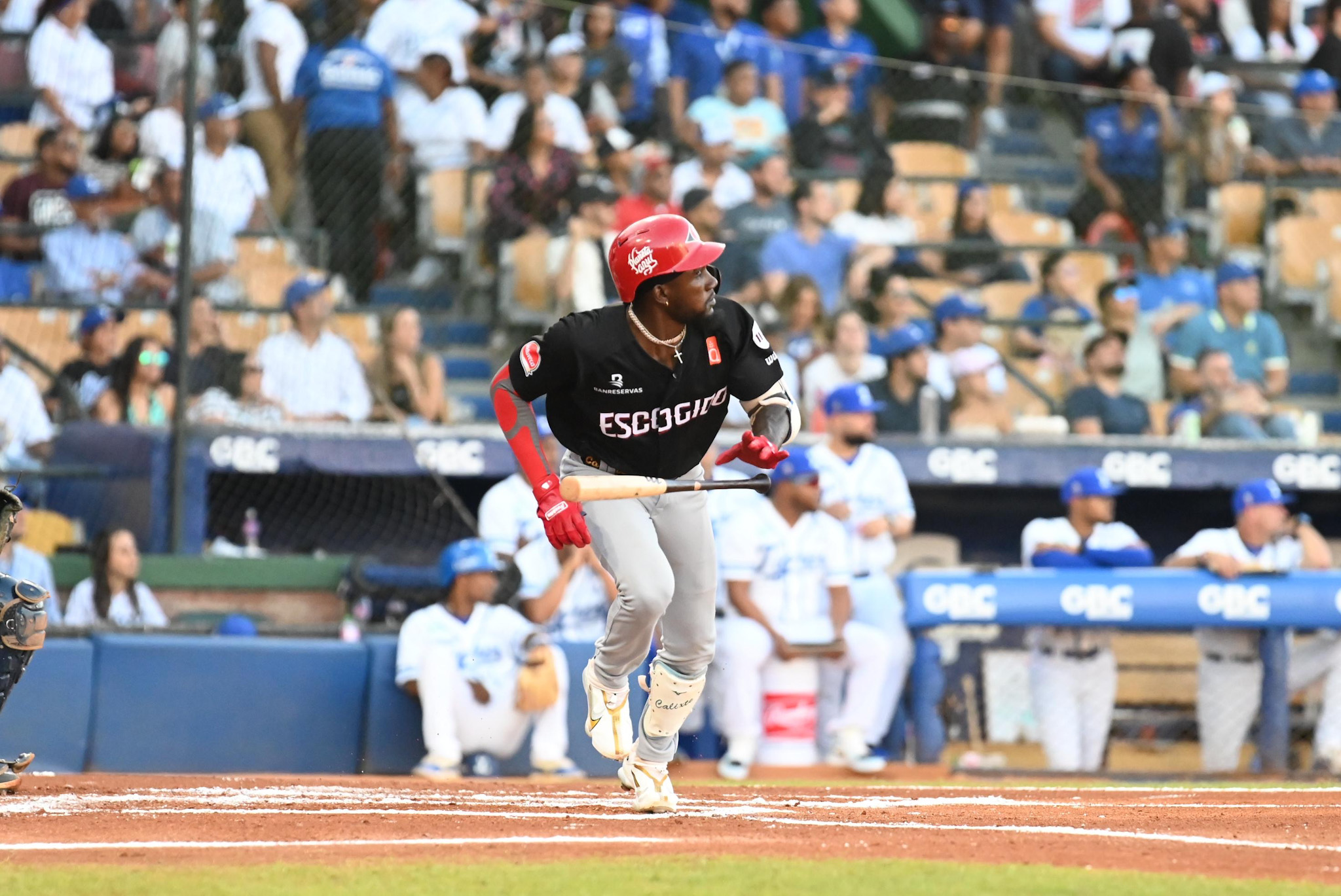 Escogido renueva contrato con Orlando Calixte