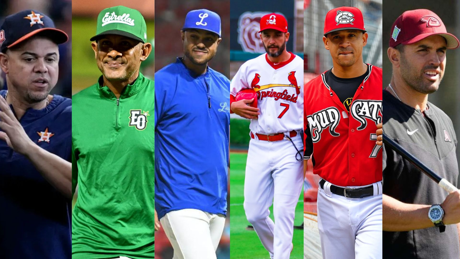 Estos son los managers de LIDOM para esta temporada