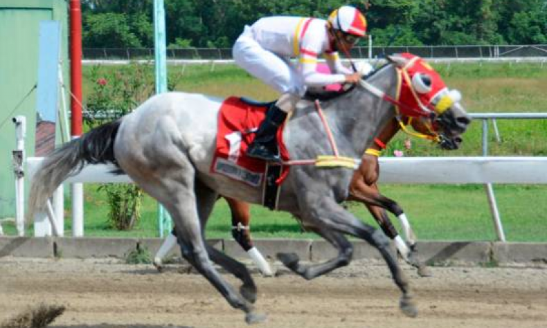 Wells Aproval gana en el V Centenario