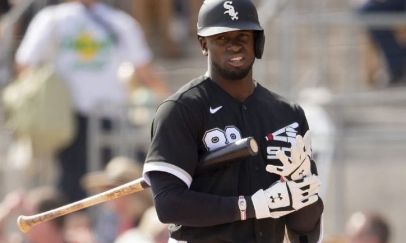 Luis Robert